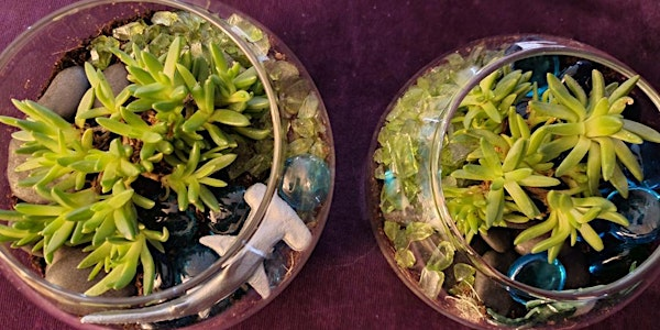 Make Your Own Terrarium | Tapworks Brewing Company
