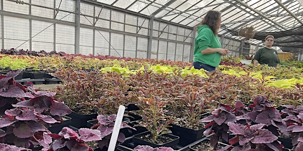 Wednesday Walk: Tour of Cylburn's Production Greenhouses | Cylburn Arboretum