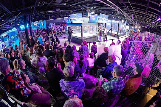 NHRL 2026 Robot Fighting World Championships | NHRL - National Havoc Robot League