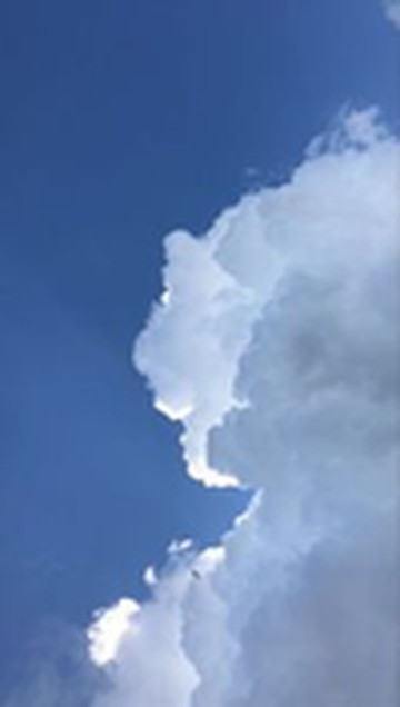 живу сейчас