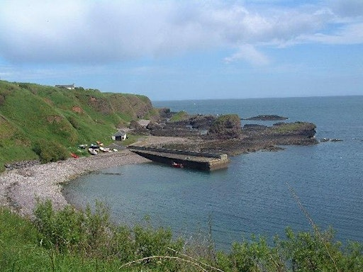 Raw, Expressive Sea and Landscape Painting | Conference Rooms, YHA