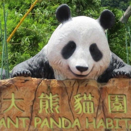 海洋公園🤩合家觀之選