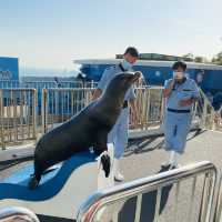 高質海洋公園平日遊