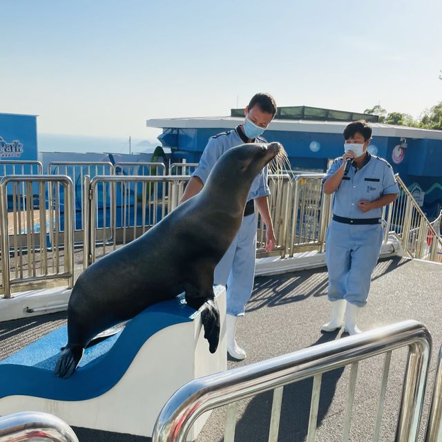 高質海洋公園平日遊