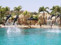 Sea World Marine Theme Park, Gold Coast