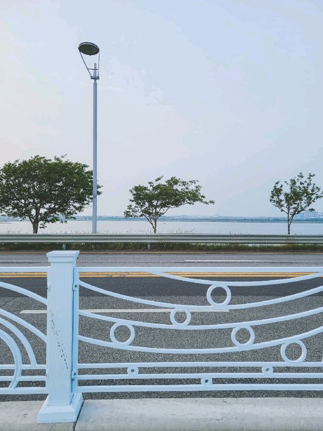 인천 영종도, 영종해안남로
