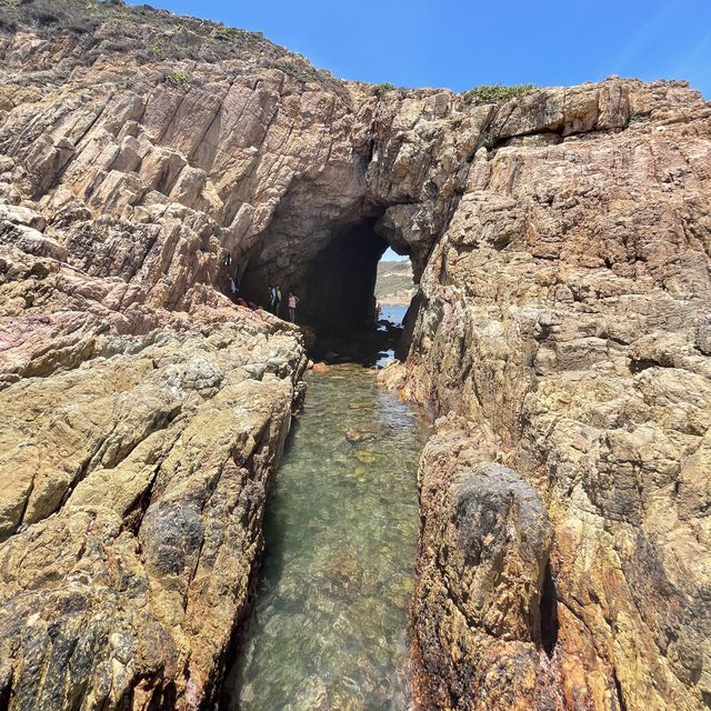 深入木棉洞 🏞🌊