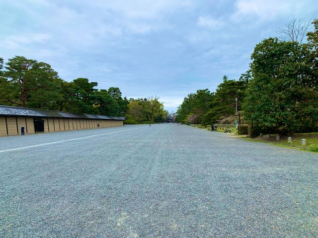 京都　KYOTO SAKURAめぐり❗️京都御苑の車返桜に感動❗️