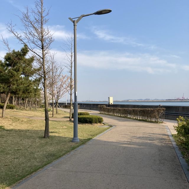 송도 바다 공원 [솔찬공원]