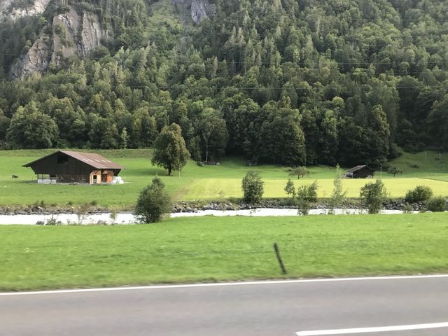 그냥 인터라켄 걸어다니기🇨🇭