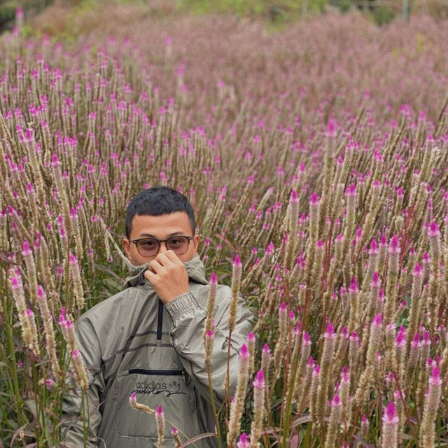 Ninh bình - Sapa 