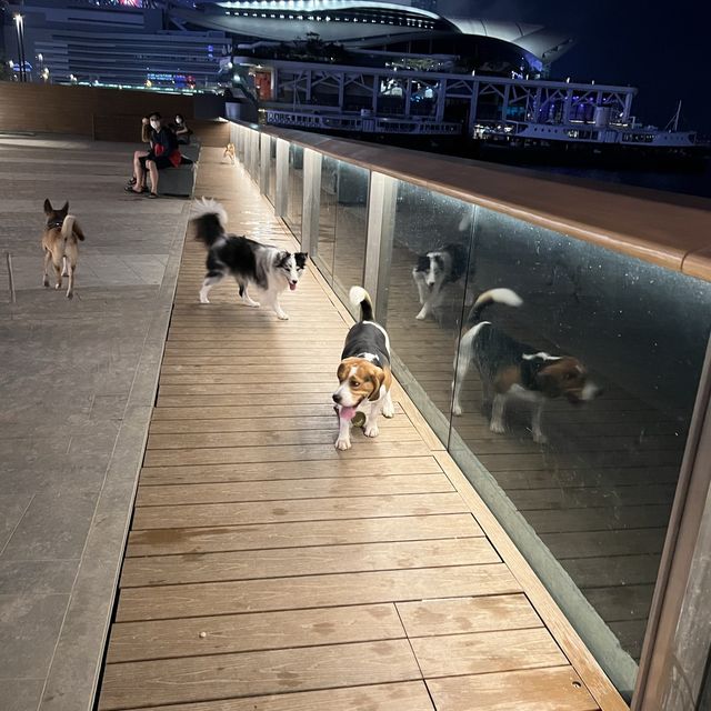 平日夜遊灣仔文青氣息臨時海濱花園