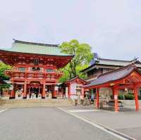 【兵庫県 神戸市】生田の森、生田神社✨✨