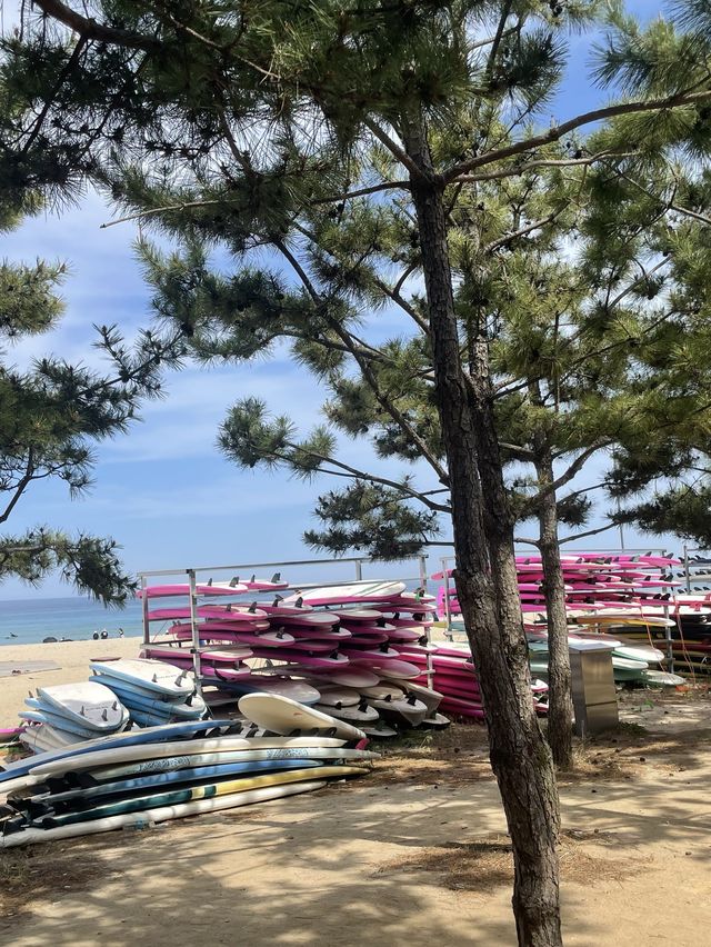 양양인구해변 바캉스 🏊🏻‍♀️