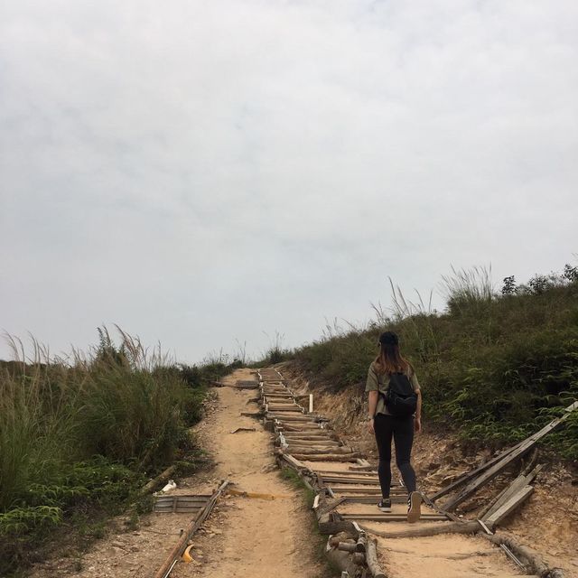 髻山遊