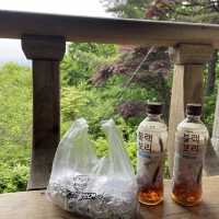 등산 초보자도 쉽게~ 천안 태조산에서의 하루 