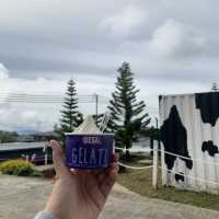Desa Dairy Farm Sabah