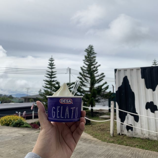 Desa Dairy Farm Sabah