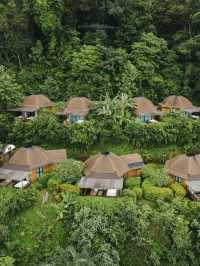 必試性價比極高森林resort