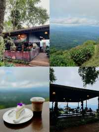พาไปจิบกาแฟ ชมวิว ชมดอก กับคาเฟ่ชื่อดังบนม่อนแจ่ม⛰