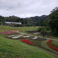 滿滿芬多精【台北內湖】鯉魚山一日遊