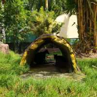 Davao Crocodile Park and Zoo 🐾