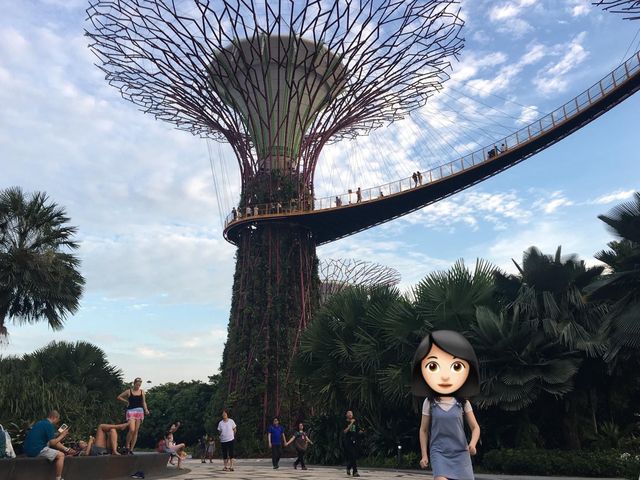新加坡最美花園—Gardens by the Bay