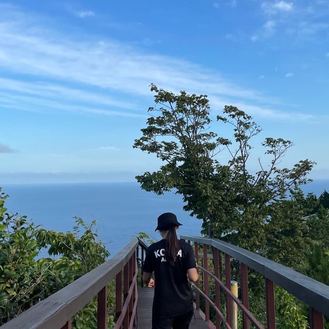 독도박물관_ 국내 유일 영토 박물관