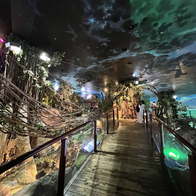 🇰🇷 COEX Aquarium Rainforest