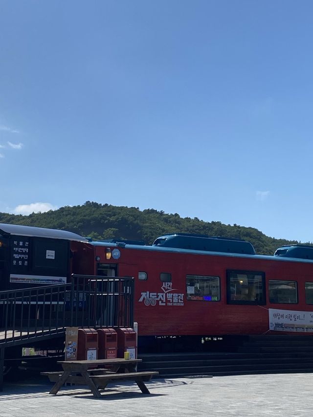 다가오는 겨울 여행, 정동진으로 🌊
