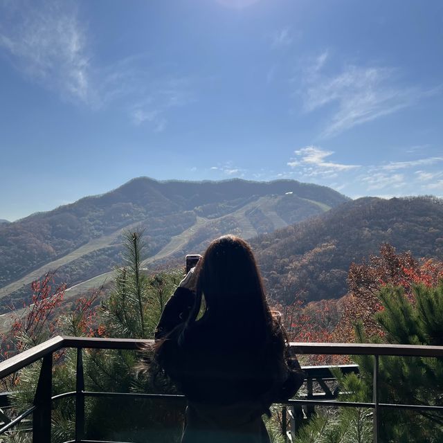 (곤지암/힐링스팟) 힐링만땅 화담숲 단풍구경🍁