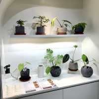 悠閑小店感cafe - From Seed To Wish 🌱🍽
