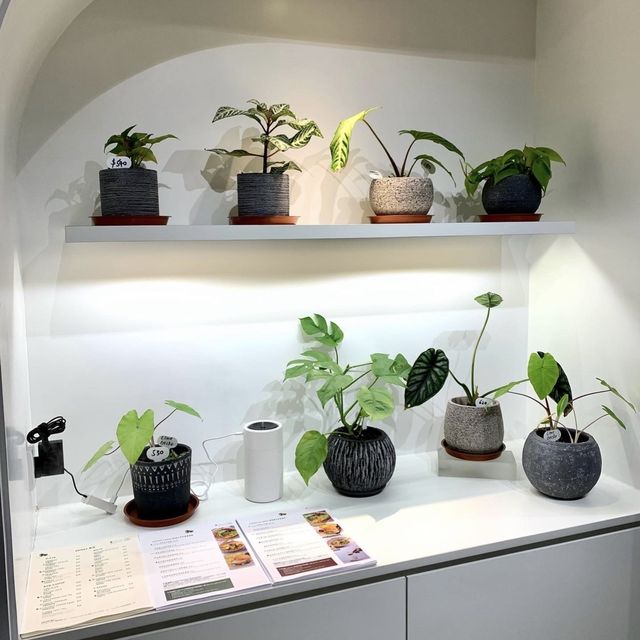 悠閑小店感cafe - From Seed To Wish 🌱🍽