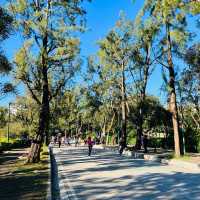 Baguio, on the Philippines’ Luzon island, is a mountain town of universities and resorts. Called the