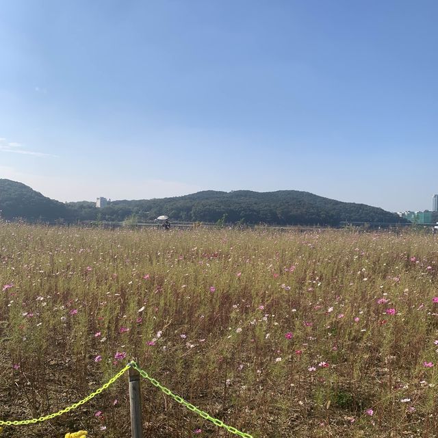 기흥에도 이런 예쁜 호수 공원이!