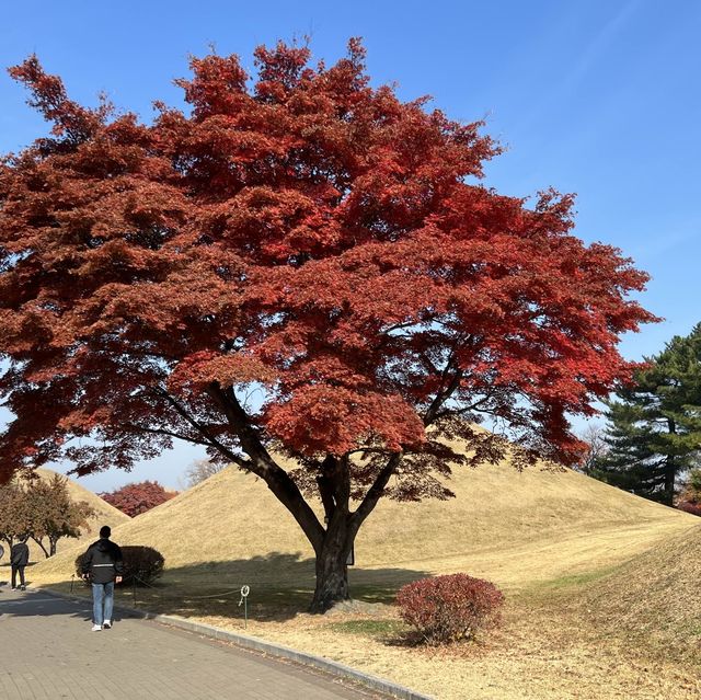 Autumn in Gyeongju, South Korea