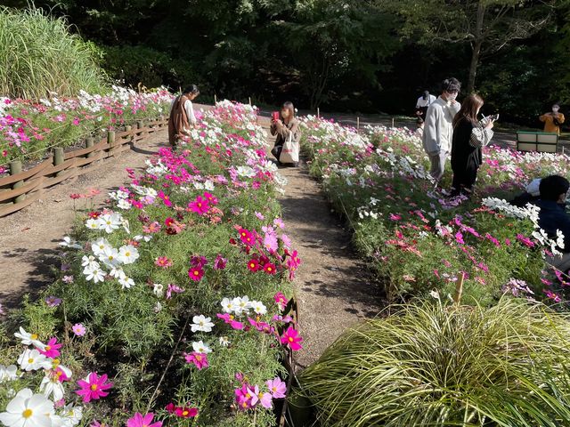 四季を楽しむ、神戸ハーブ園🌿