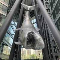 SHARK!!! 