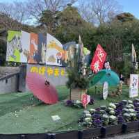 何度行っても楽しめる！無料の動物園♪