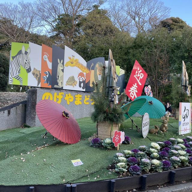 何度行っても楽しめる！無料の動物園♪