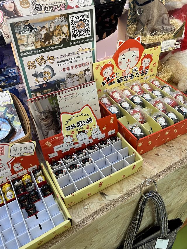 貓奴們必到皇室堡貓貓紙箱市集 貓奴們必到皇室堡貓貓紙箱市集