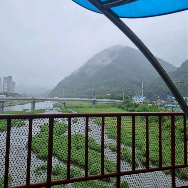 Experience the Rail Bike in Gapyeong ✨️ Experience the Rail Bike in Gapyeong ✨️