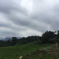 SIBOLANGIT