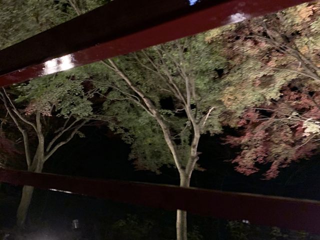 嵯峨野觀光小火車