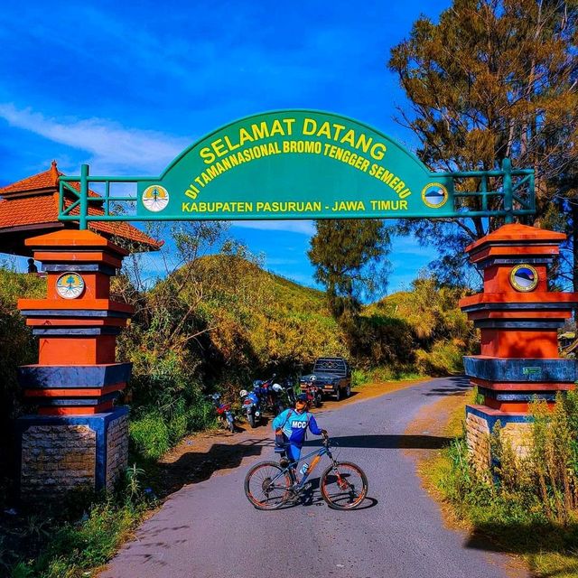 Bromo