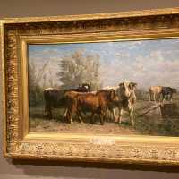 Oklahoma City Museum of Art