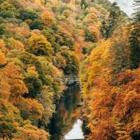 AUTUMN IN SCOTLAND 🍁