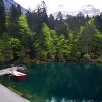 Blausee สะเลสาปสีฟ้า🇨🇭