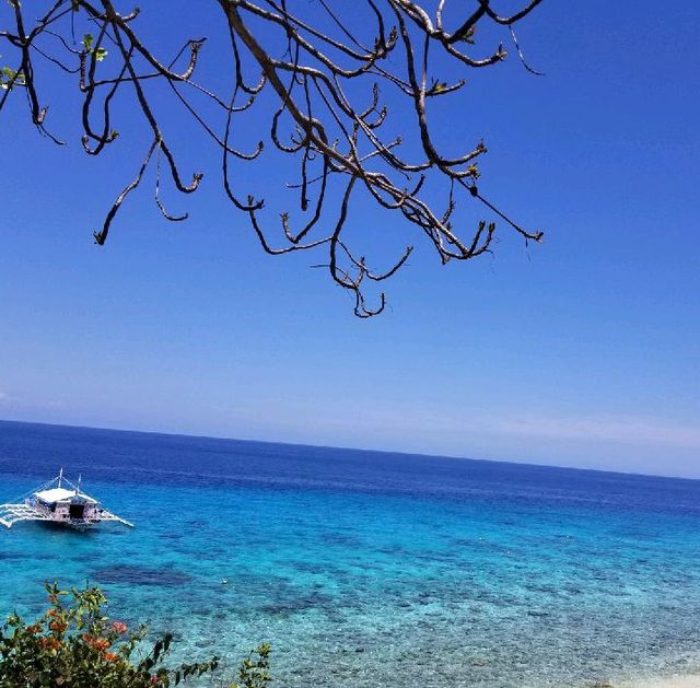宿霧🏝️夢幻小島 一島一Resort 宿霧🏝️夢幻小島 一島一Resort
