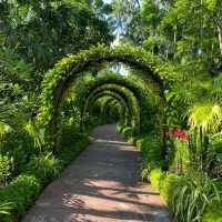 Singapore Botanical Gardens 